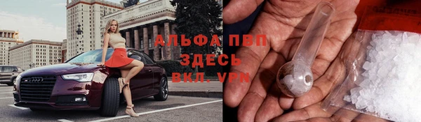 СК Кодинск