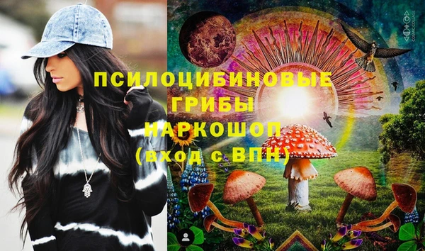 СК Кодинск