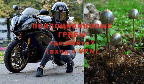 СК Кодинск