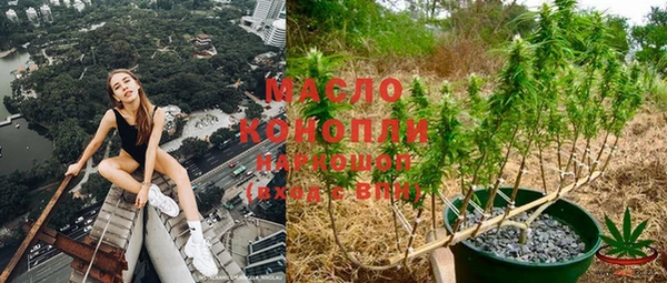 СК Кодинск