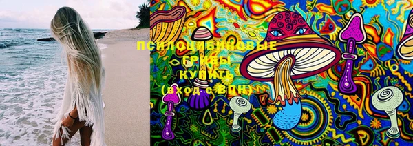 не бодяженный Козельск