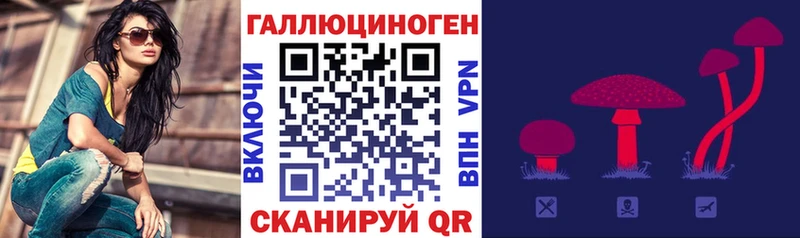 Псилоцибиновые грибы Magic Shrooms  Купить  Зима 
